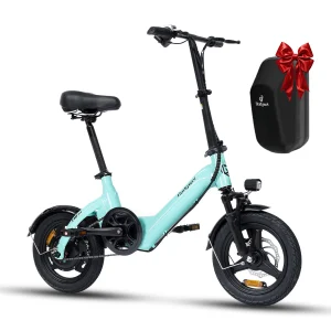 14" Folding E Bike 750W Motor