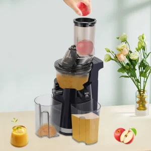 250w Fruit Juicer, 800ml Compact Juicer,